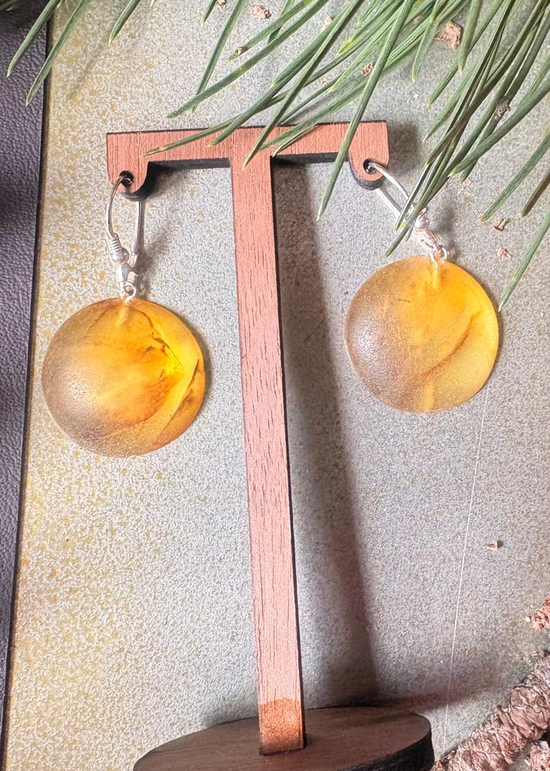 Schöne Ohrringe mit natürlichem Bernstein