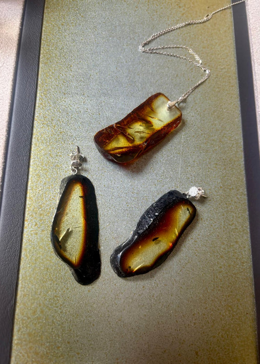 Bernstein-Set modern