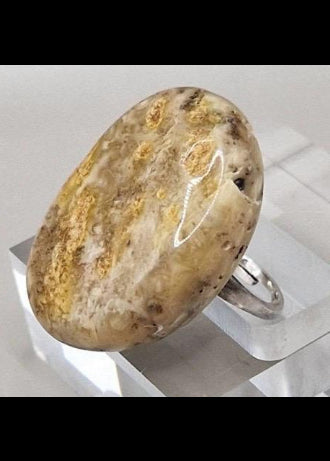 Kraftvoller Bernsteinring