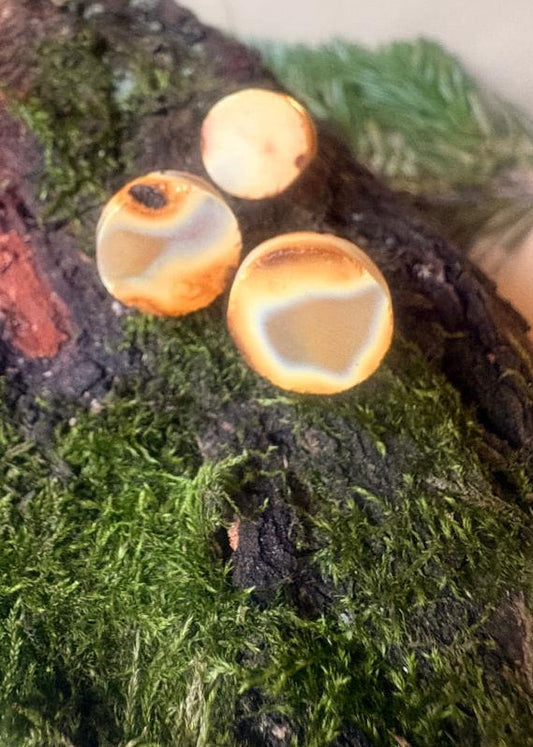 Set Damen minimalistisch