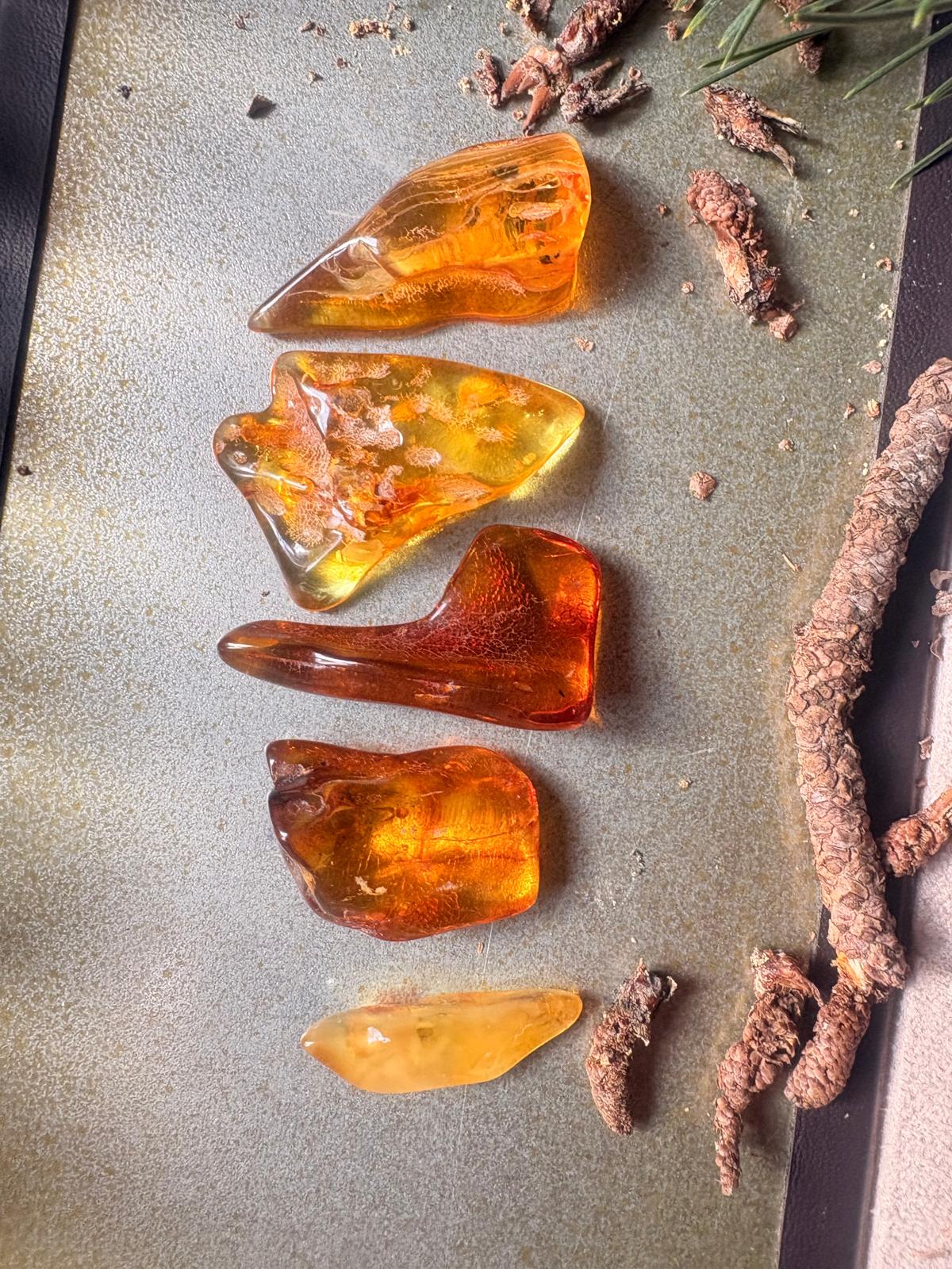 Rohbernsteine im Set