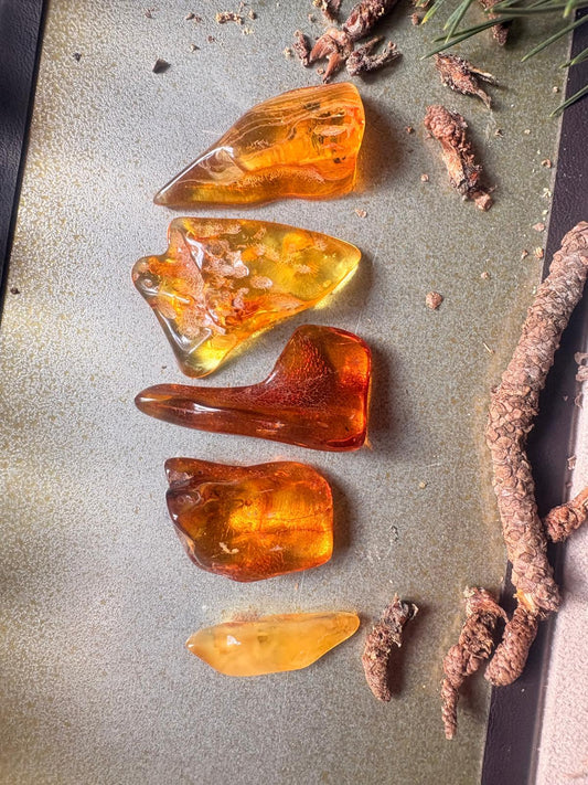 Rohbernsteine im Set