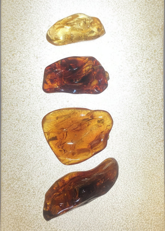 Baltische Bernsteine im 4 er Set