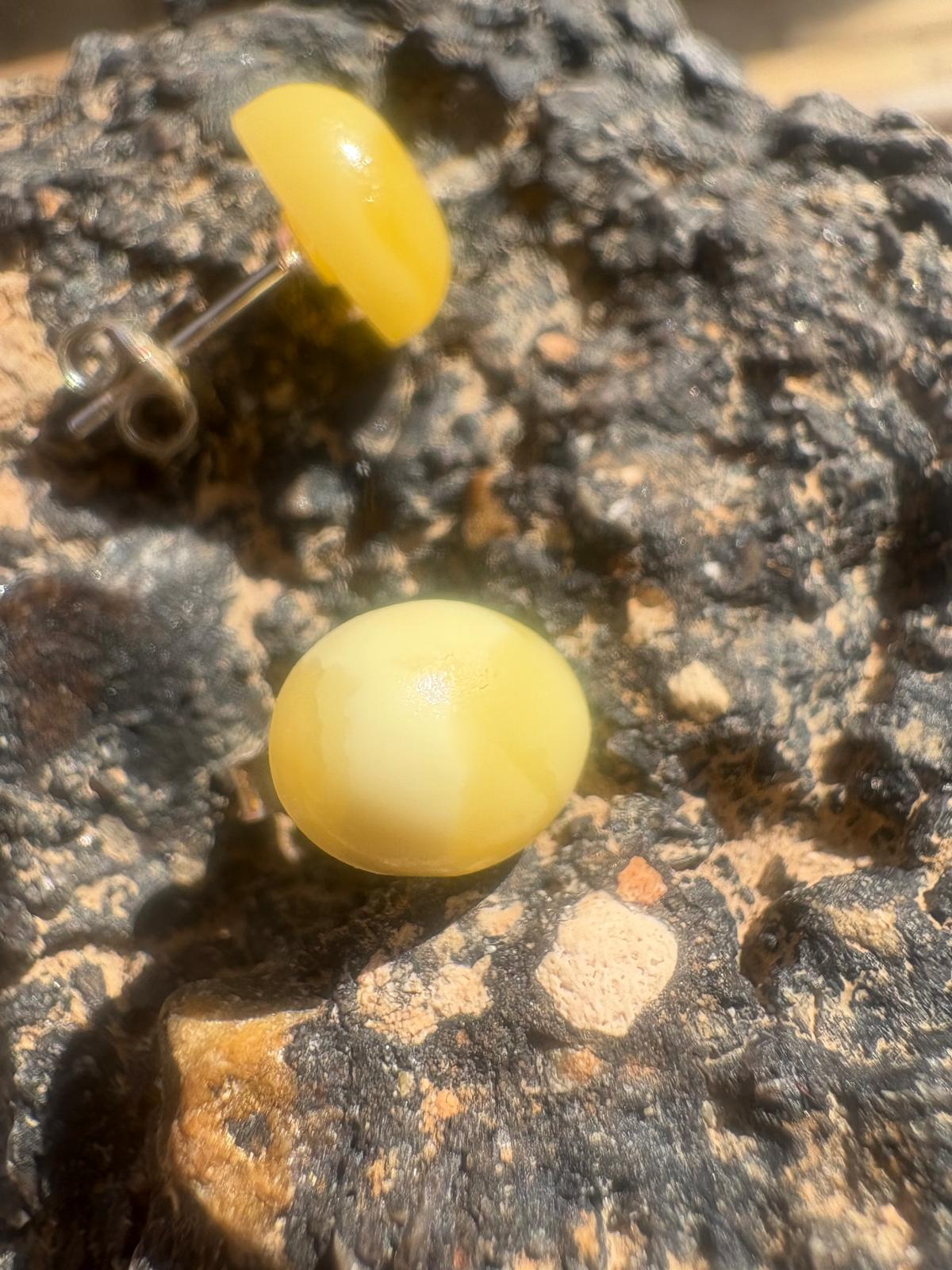 Handgefertigte Ohrstecker mit echten weißem Bernstein