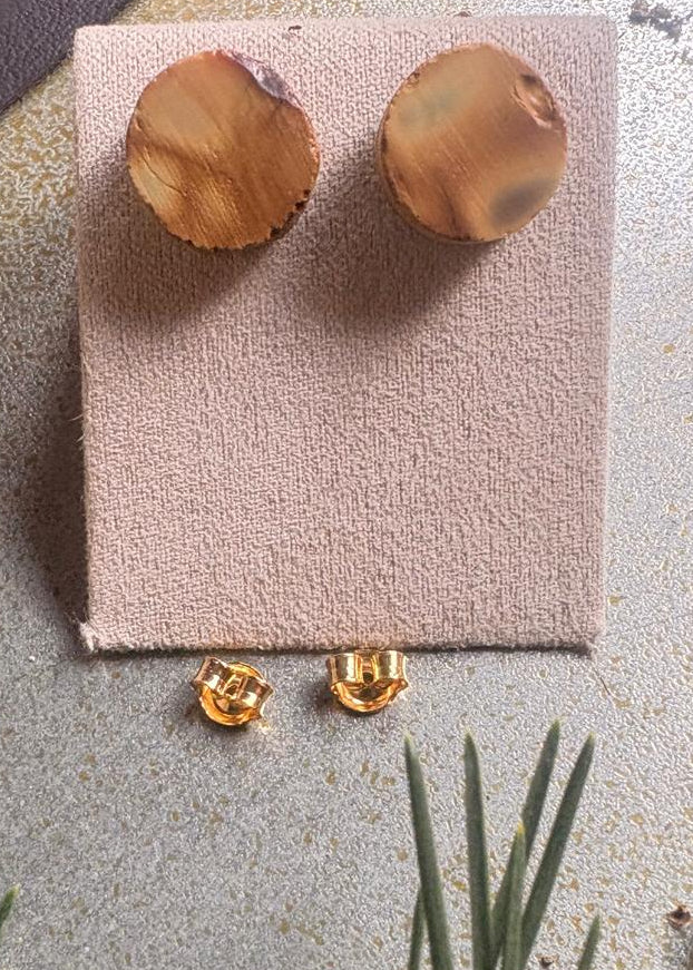 Schöne moderne Ohrstecker