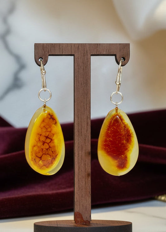 Schöne Raffinierte Bernstein-Ohrringe