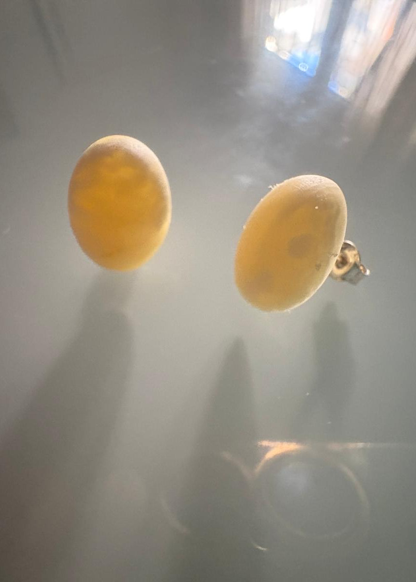 Elegante Bernstein-Ohrstecker