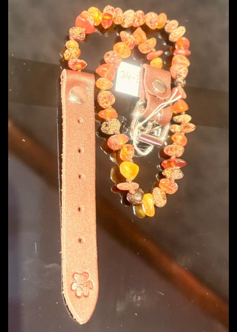 Halsband für Hunde und Katzen