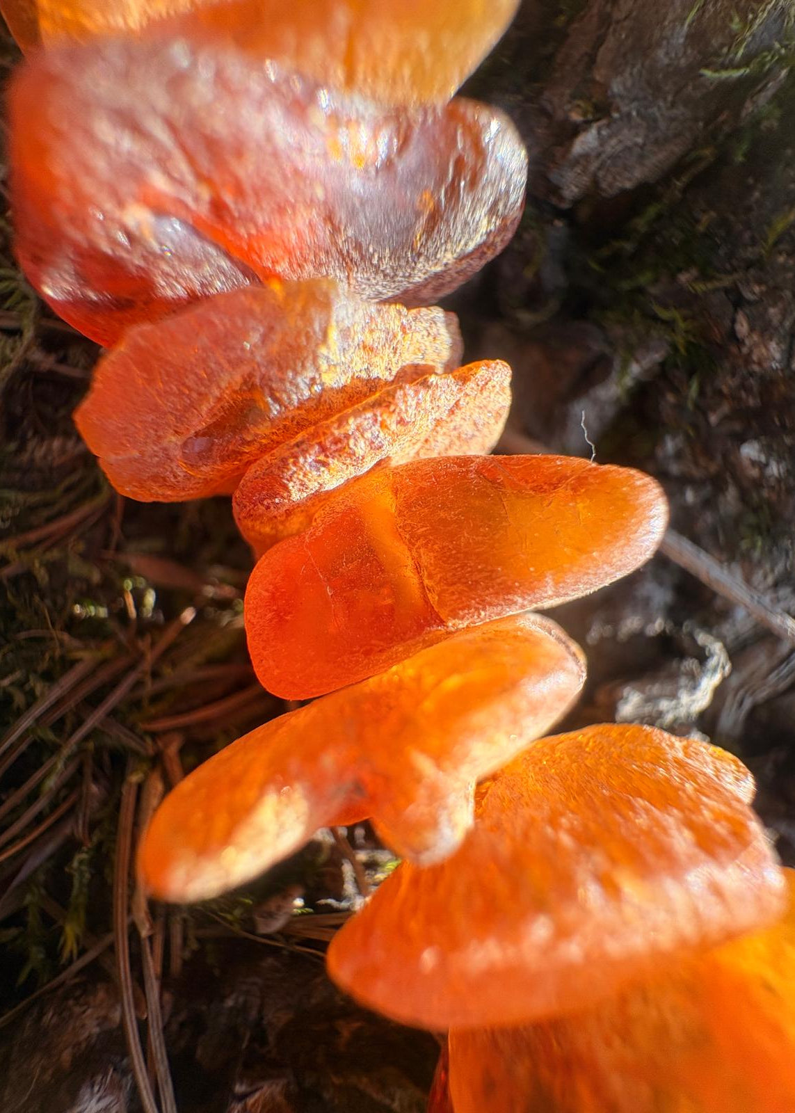 Lange Halskette für die Dame