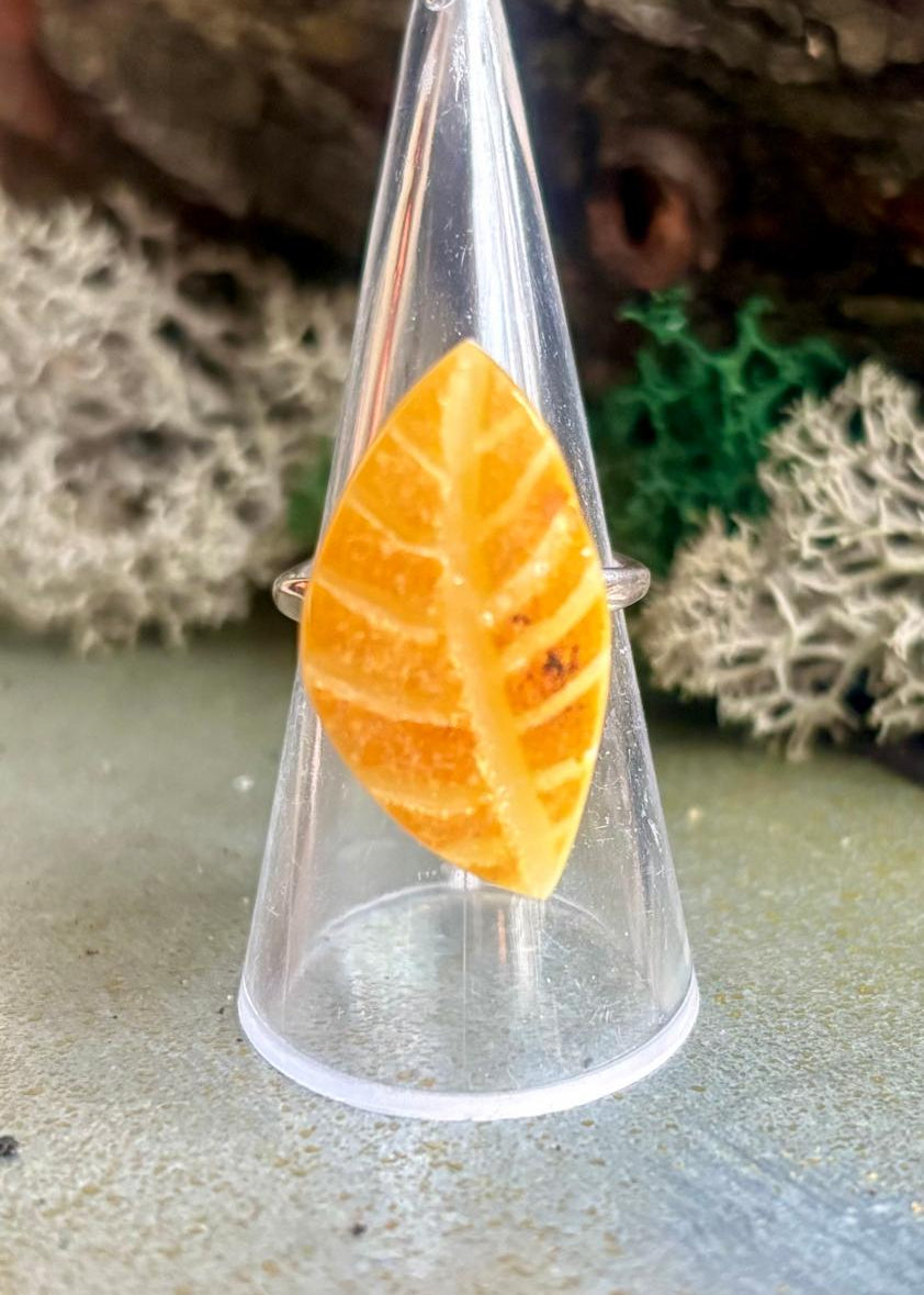 Sönes Set aus Ohrringe und Ring