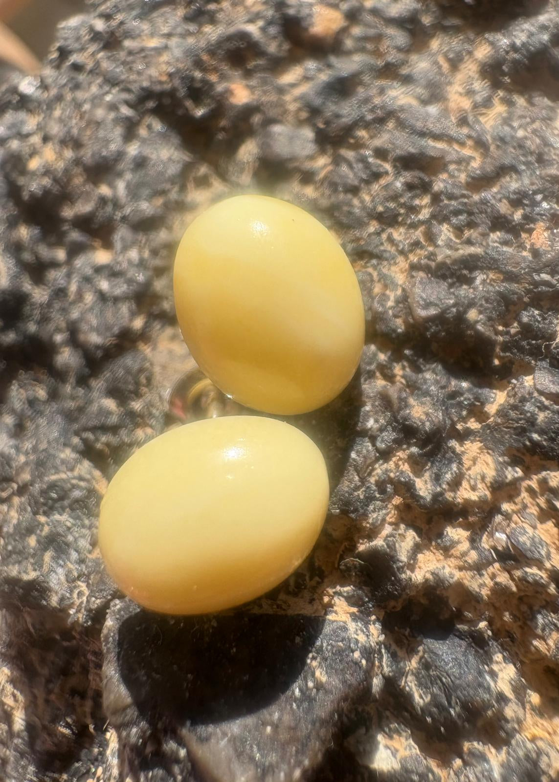 Handgefertigte Ohrstecker mit echten weißem Bernstein