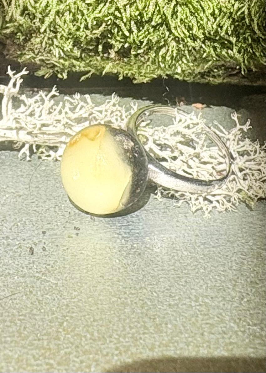 Moderner Damen Bernsteinring